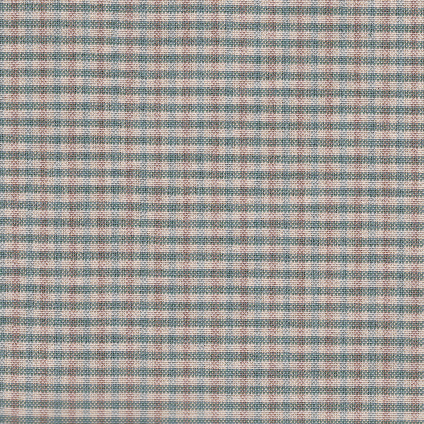 Elvira 361
