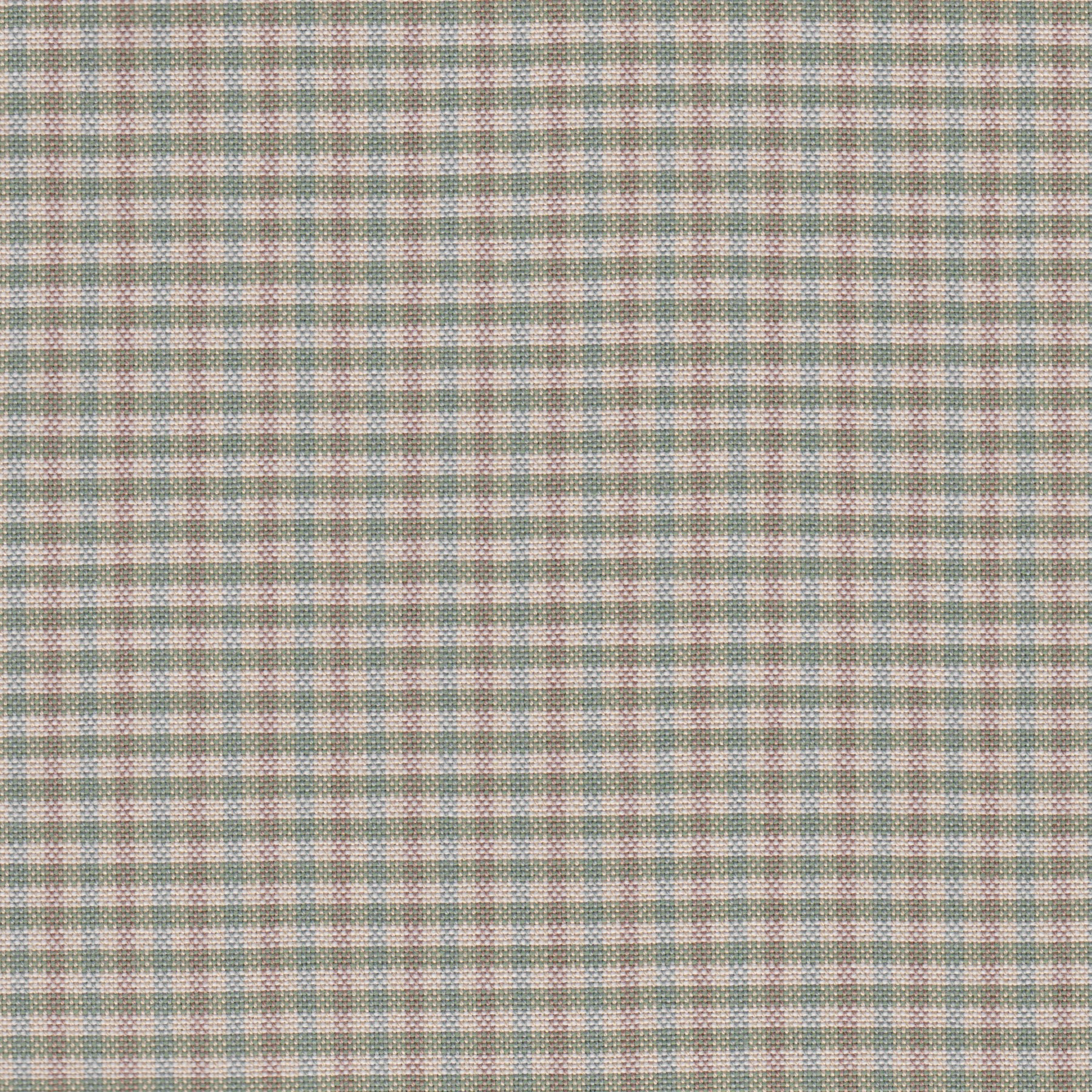 Elvira 370