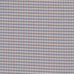 Elvira 351